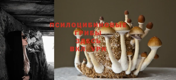 крисы Алексеевка