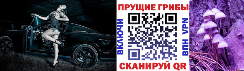 Галлюциногенные грибы Psilocybe  даркнет сайт  Урай 